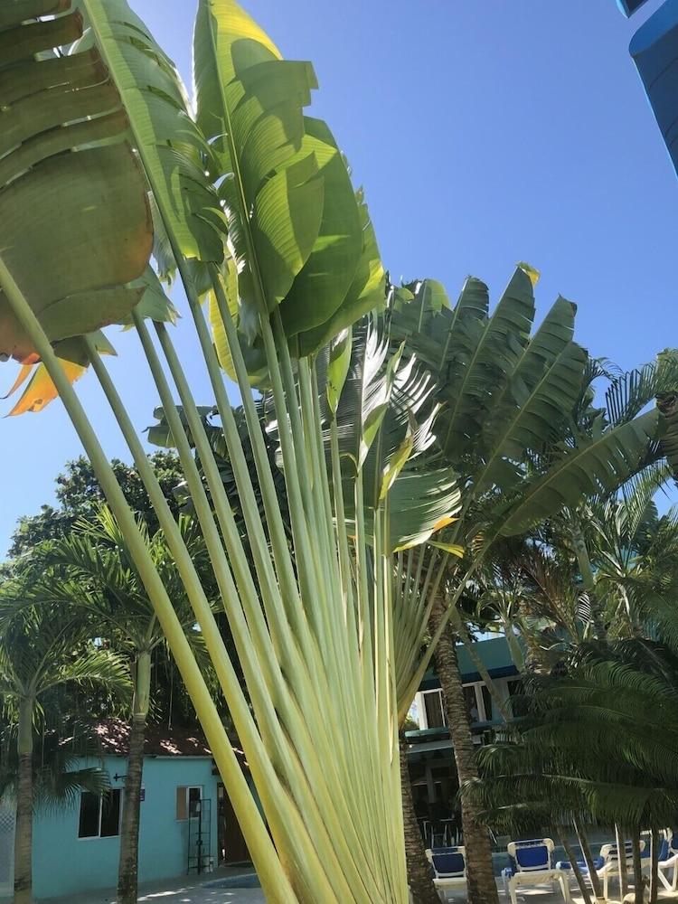 New Garden Hotel โซซัว ภายนอก รูปภาพ